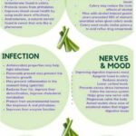 Celery Juice Benefits For Stomach Pain