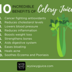 What Are the Health Benefits of Celery Juice?