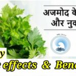 What is Celery Juice in Hindi?