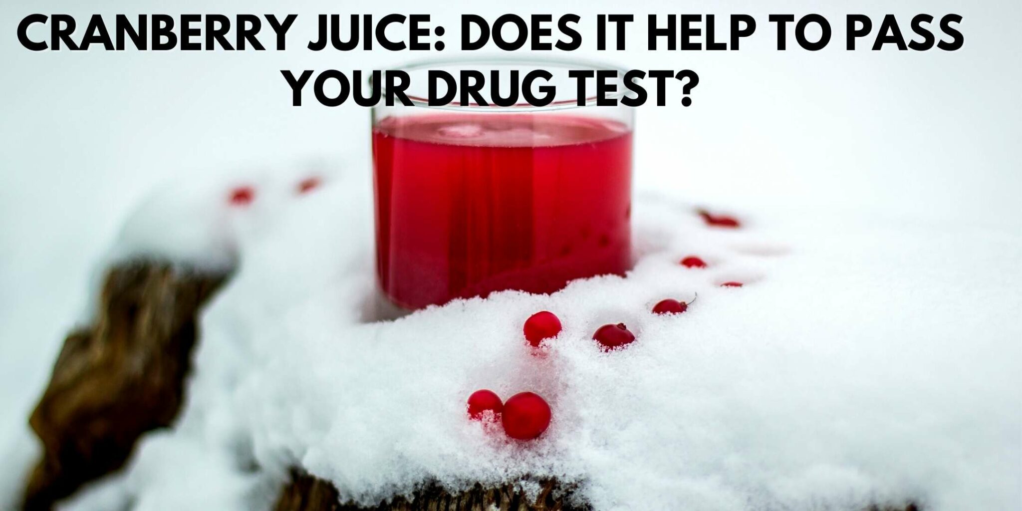 What Are Cranberry Juice Side Effects? The Juicery World