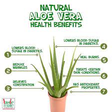 Aloe Vera Benefits For Females