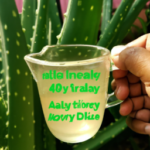 how-much-aloe-vera-juice-to-drink-daily.png