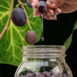 how-to-make-muscadine-juice.png