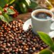 top coffee beans reviewed