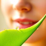 aloe vera for radiant skin