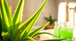 aloe vera for radiant skin