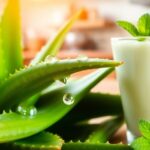 aloe vera health benefits