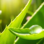 aloe vera uterus benefits