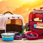 essential pet travel gear