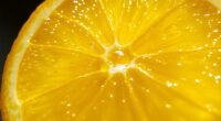 juice quantity from lemon