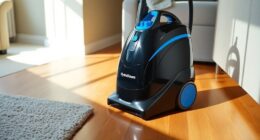 portable carpet cleaning solutions