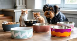 stylish practical pet bowls