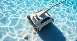 top sand dirt pool cleaners