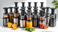 affordable cold press juicer options