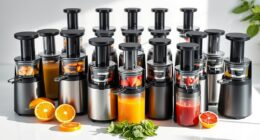 affordable cold press juicer options
