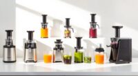 affordable cold press juicers