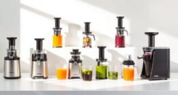 affordable cold press juicers