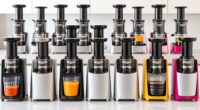 affordable cold press juicers