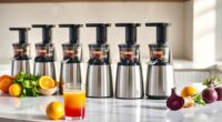 affordable twin gear juicers