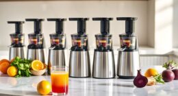 affordable twin gear juicers