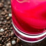 beet carrot mineral content