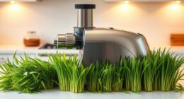 quiet wheatgrass juicer options