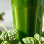 spinach juice oxalate content