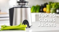 top celery juicer picks
