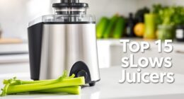 top celery juicer picks