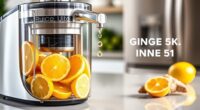 top ginger juice extractors