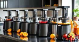 top heavy duty juicers