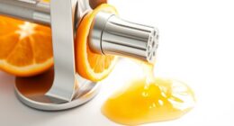 top manual citrus juicers