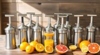top manual juicer picks