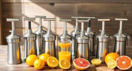 top manual juicer picks