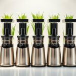 top stainless steel wheatgrass juicers