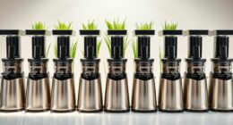 top stainless steel wheatgrass juicers