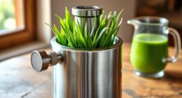 top stainless steel wheatgrass juicers