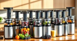top twin juicer picks