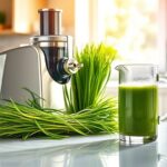 top wheatgrass juicer picks