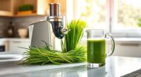 top wheatgrass juicer picks