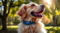 best gps dog collars