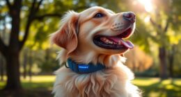 best gps dog collars