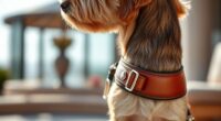 luxury dog harness reviews
