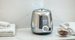 luxury facial steamers list