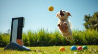 top automatic dog ball launchers