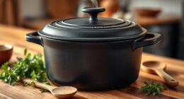 top premium cast iron ovens