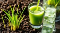 growing and preparing wheatgrass