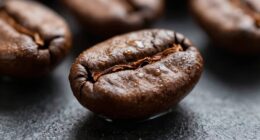 top beverage macro lenses