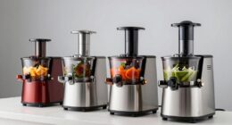 top commercial juicer picks