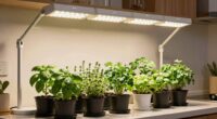 top indoor herb grow lights